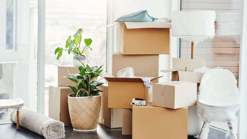 Cardboard boxes stacked near a window, suggesting moving.